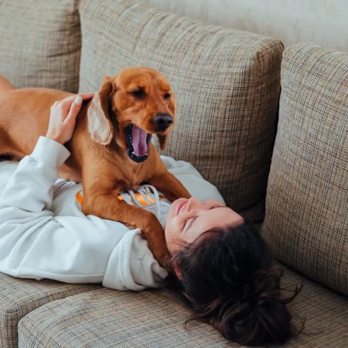 Γαυγίζει ο σκύλος σου στο «πουθενά»; 3 πράγματα που ξέρει και εσύ αγνοείς