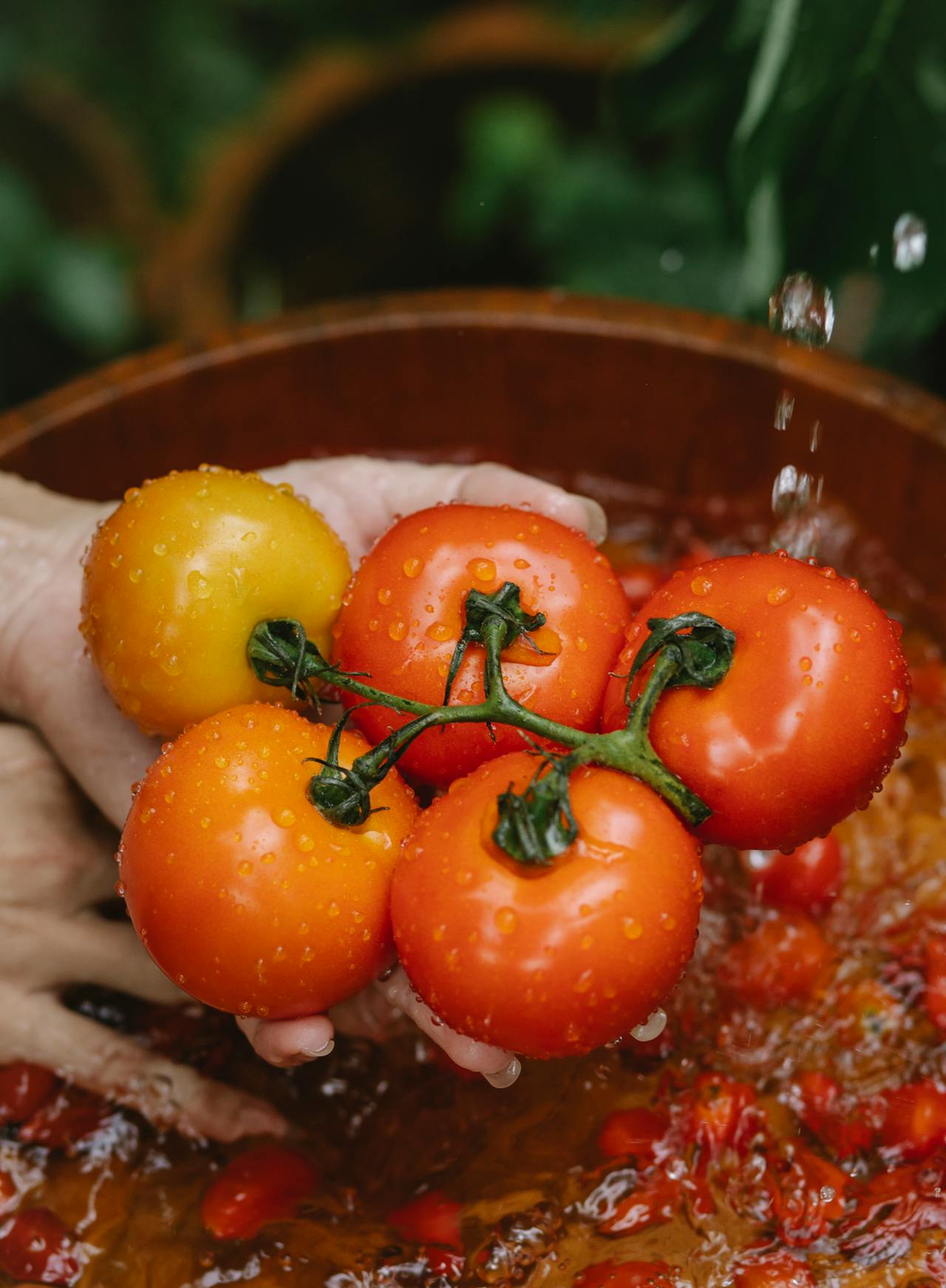 Πώς να πλύνεις σωστά τα φρούτα και τα λαχανικά για να μειώσεις τους κινδύνους βακτηριακής μόλυνσης