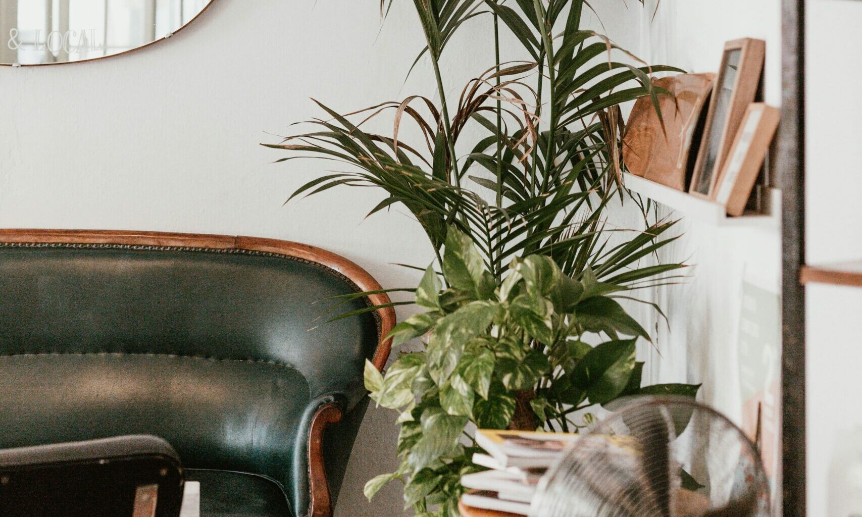 Οι 3 top τάσεις στη διακόσμηση για το 2025 – Πώς θα τις εφαρμόσεις στο σπίτι σου, σύμφωνα με τους ειδικούς