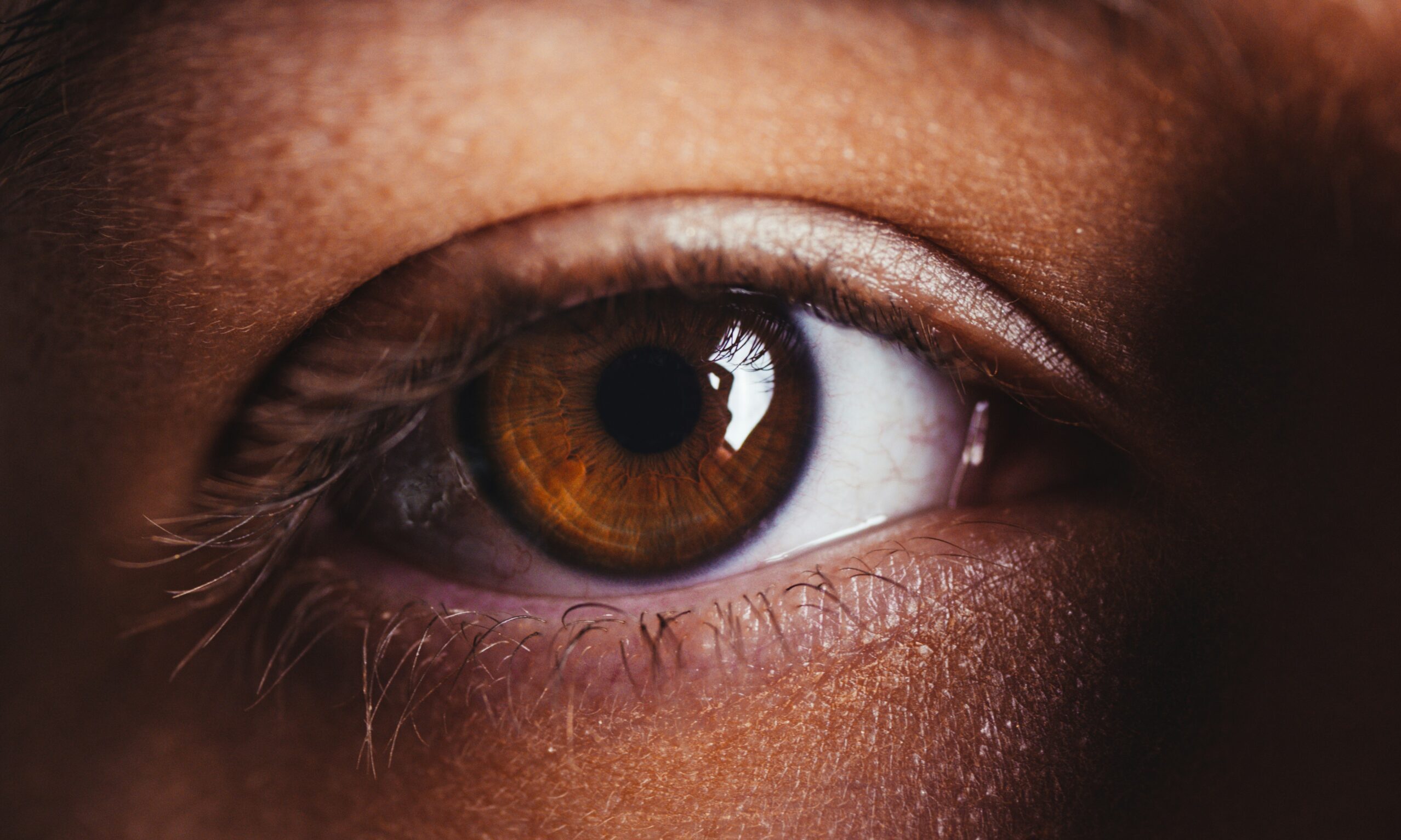 Αντιγήρανση: Η ελληνική τροφή που λειτουργεί σαν «Botox» για το δέρμα