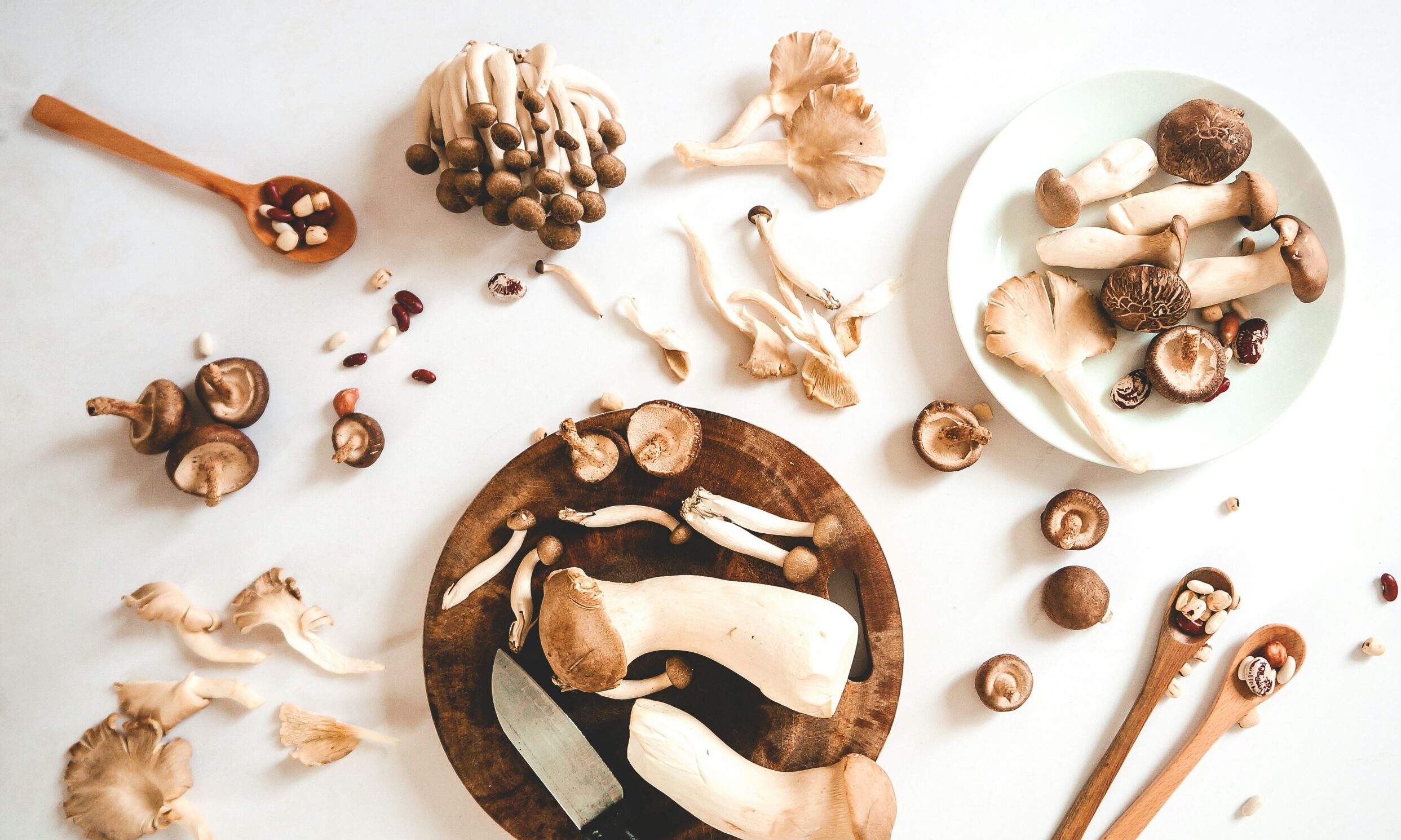 Μανιτάρια: Πώς να τα μαγειρεύεις για να μην «πετάς» τα θρεπτικά συστατικά, σύμφωνα με τους ειδικούς