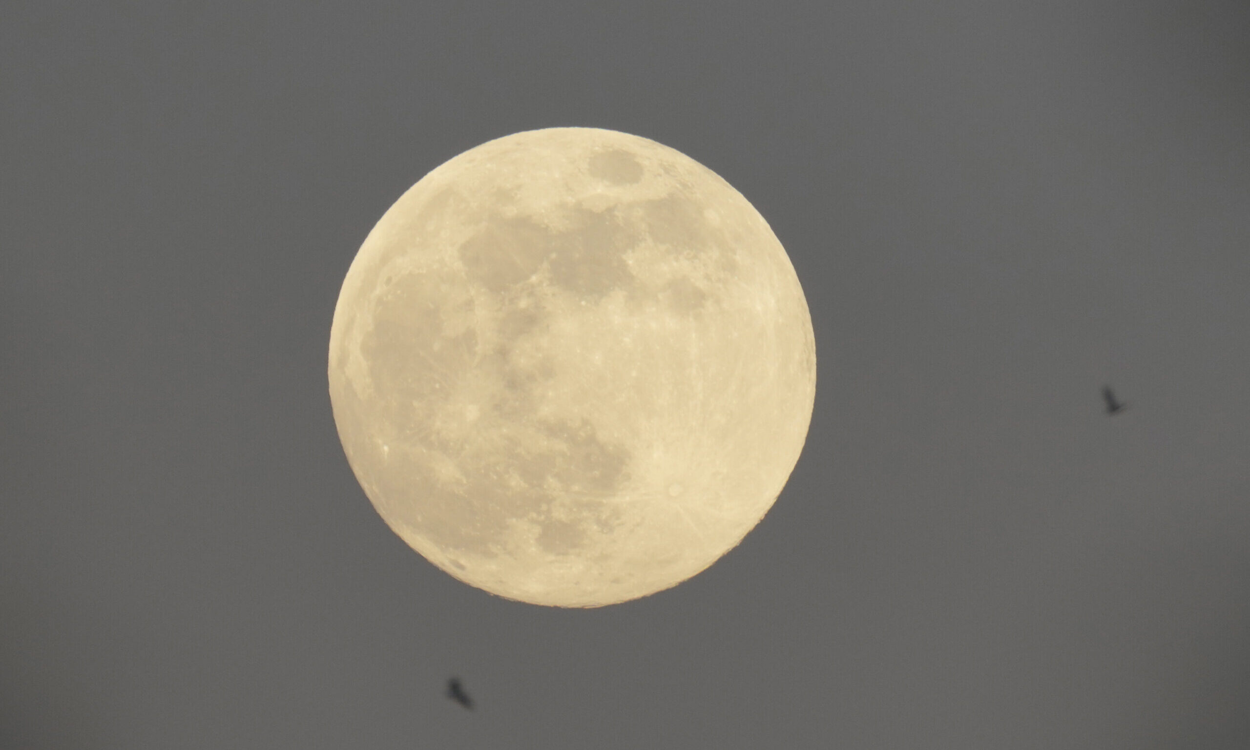 Πανσέληνος Μαρτίου 2025: Πότε είναι – Για ποια ζώδια έρχονται κακά μαντάτα