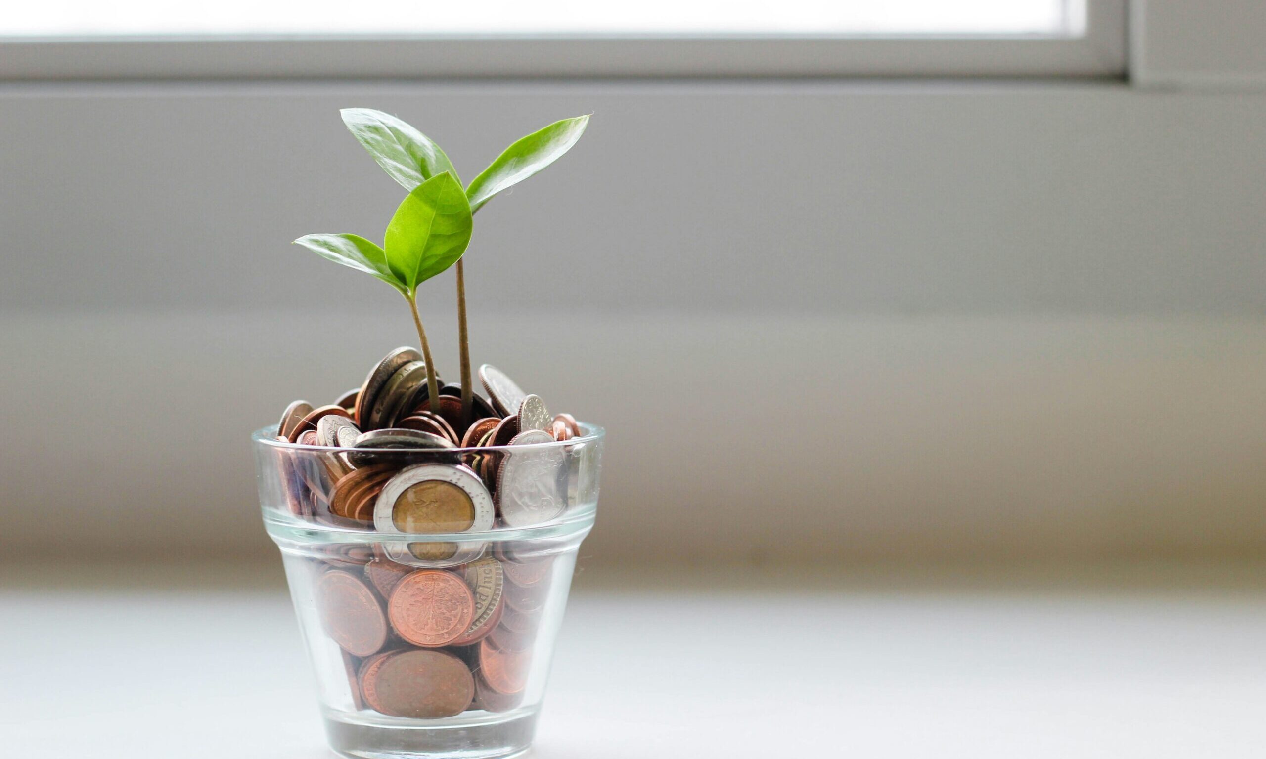 Φενγκ Σούι: Τα 2 σημεία που πρέπει να αποθηκεύεις τα χρήματά σου στο σπίτι για να «τραβήξεις» την αφθονία