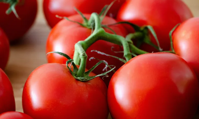 Γιατί οι γυναίκες σε εμμηνόπαυση πρέπει να τρώνε ντομάτες