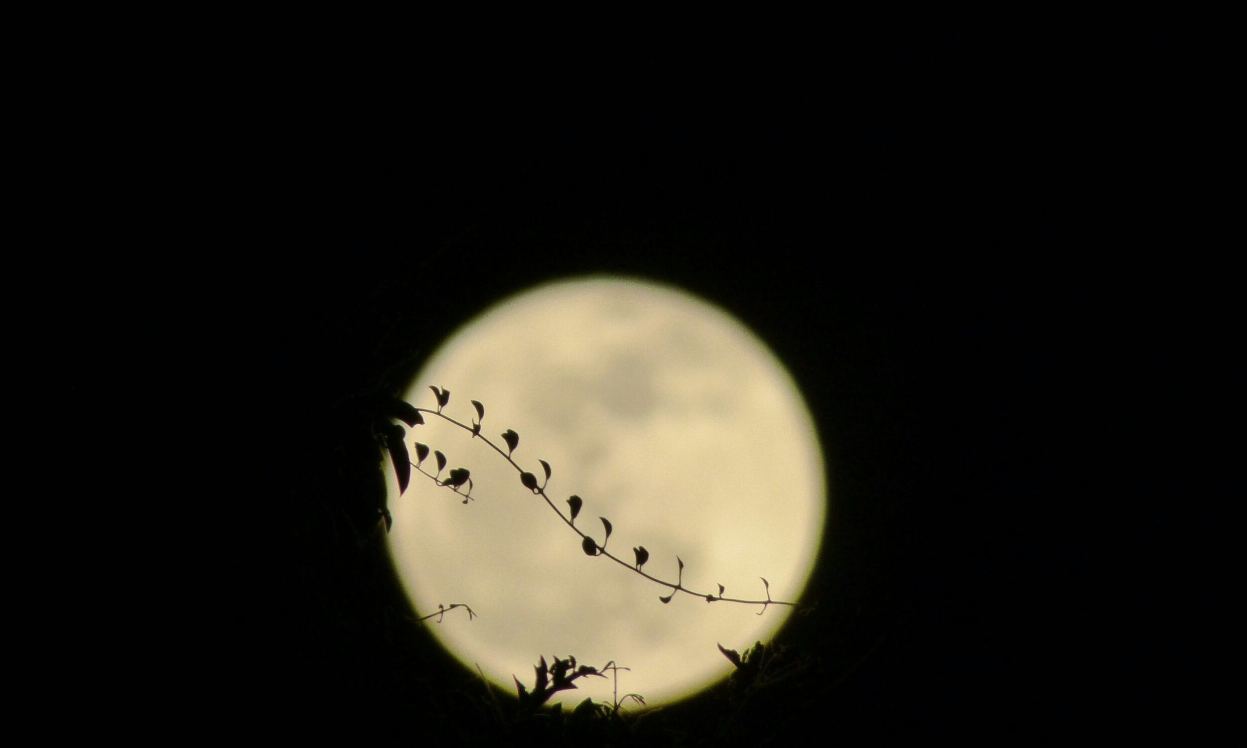 Ζώδια σήμερα Παρασκευή 14 Μαρτίου – Οι τυχεροί και οι άτυχοι της ημέρας