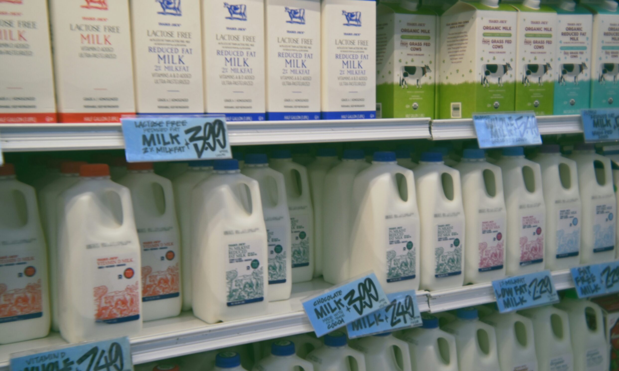 Το καλύτερο φυτικό γάλα χωρίς υδατάνθρακες που μειώνει την χοληστερόλη