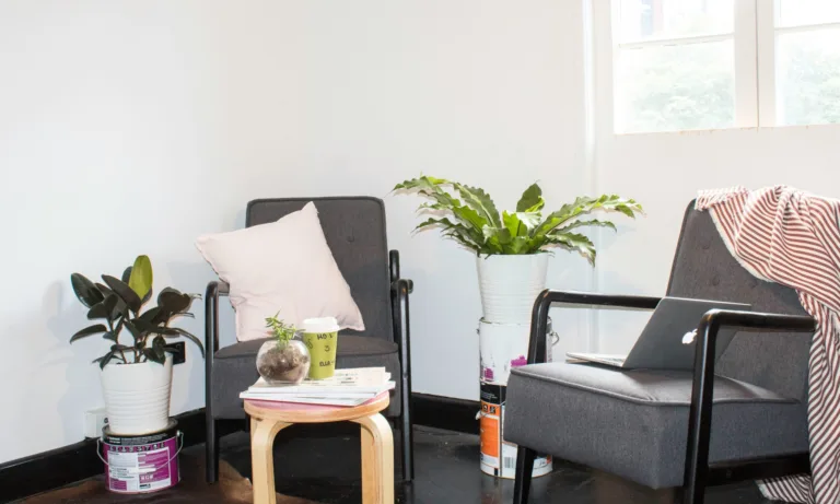 Φενγκ Σούι: Το πιο τυχερό φυτό που διώχνει την αρνητική ενέργεια από το σπίτι