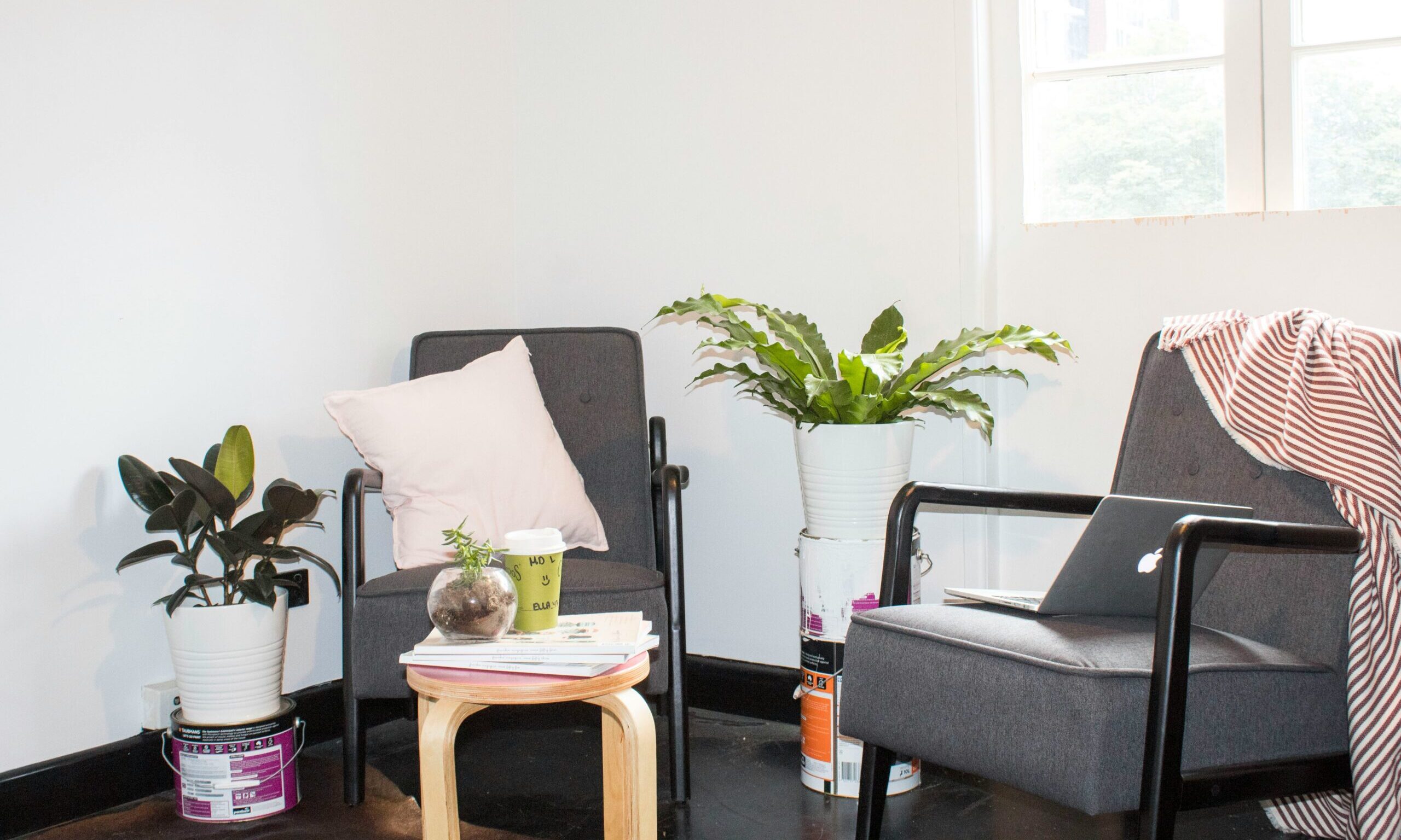 Φενγκ Σούι: Το πιο τυχερό φυτό που διώχνει την αρνητική ενέργεια από το σπίτι