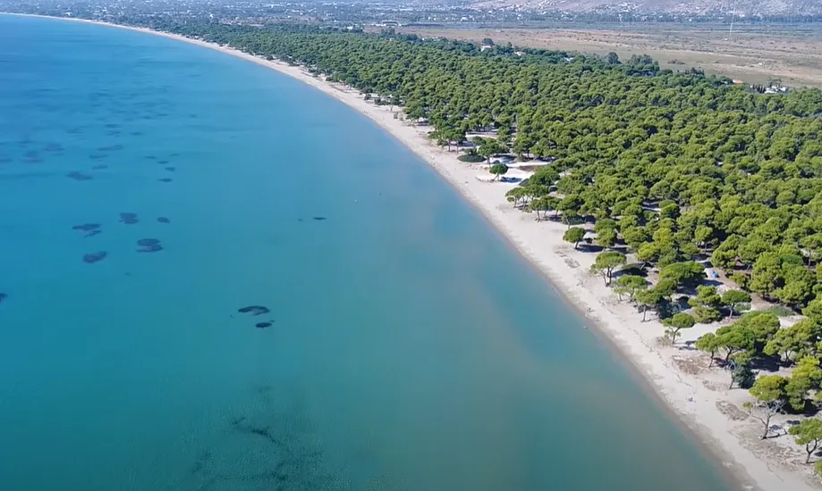 Η μεγαλύτερη παραλία της Αττικής είναι ό,τι πιο κοντινό σε εξωτικό προορισμό – Χιλιόμετρα χρυσής άμμου και πυκνή βλάστηση μέχρι το κύμα