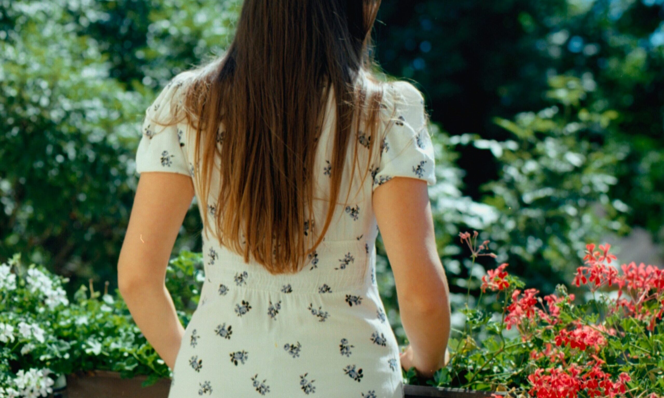 Θέλεις έναν ανθισμένο κήπο όλο το χρόνο; Φύτεψε ένα από αυτά τα 3 αειθαλή λουλούδια