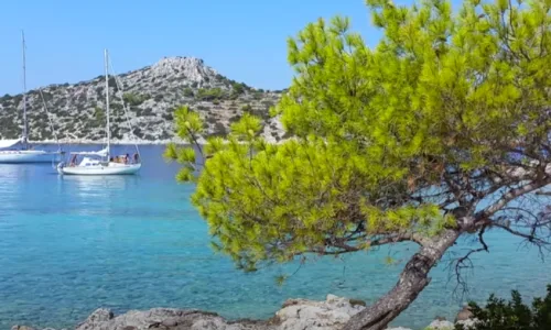 Διακοπές τον Αύγουστο: Το καταπράσινο νησί που πας 5 μέρες με 211 ευρώ