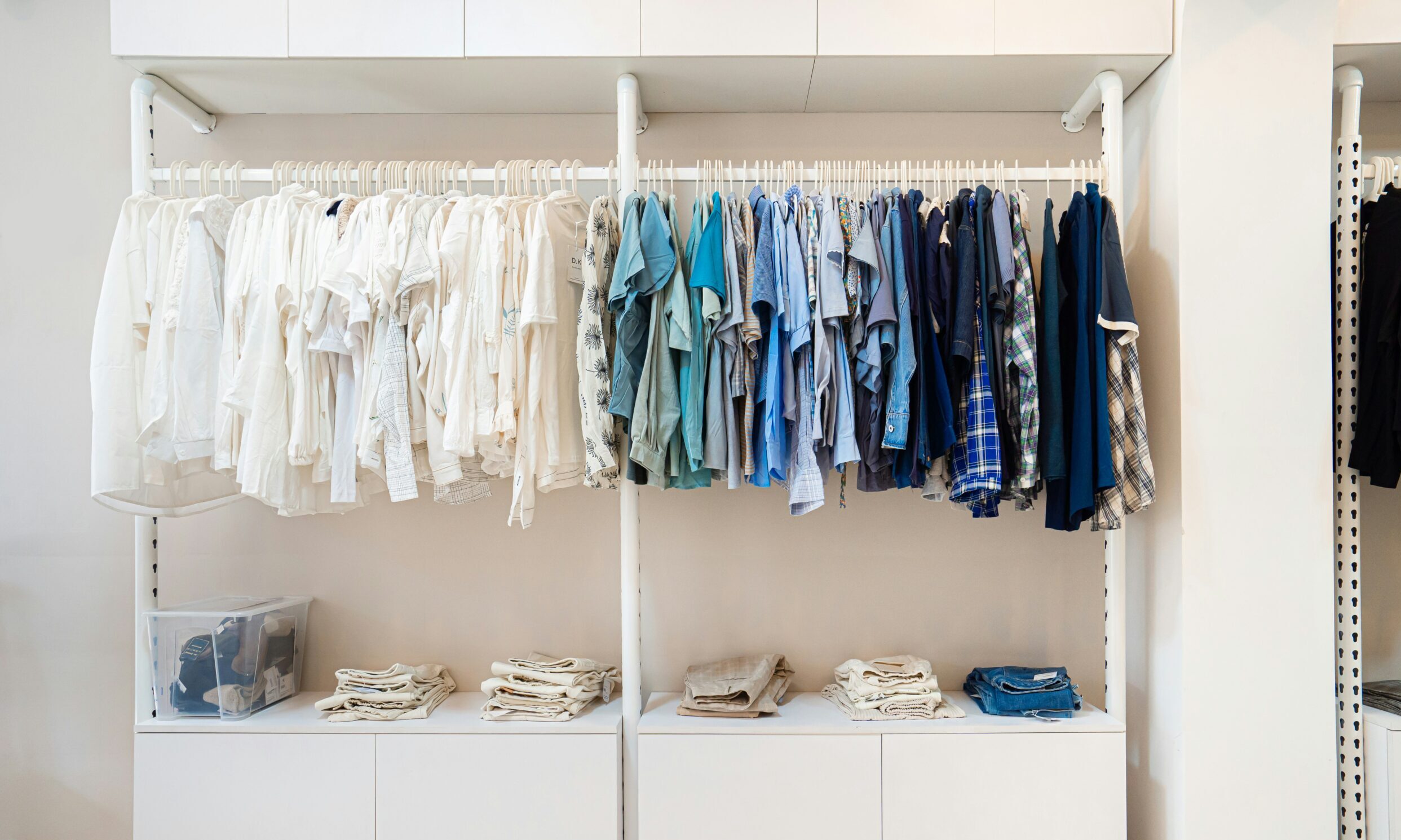 Βάλε αυτά τα φύλλα στη ντουλάπα σου για να απωθήσεις τους σκόρους φυσικά