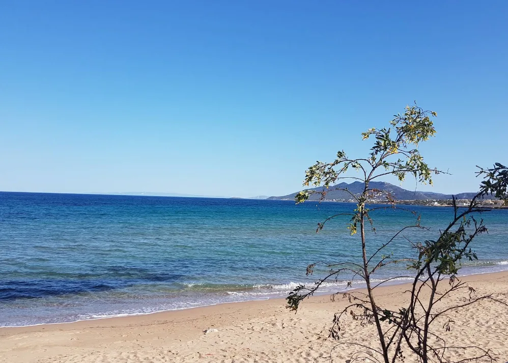 Αυτές είναι οι πιο ψαγμένες παραλίες της Αττικής που μάλλον δεν έχεις ξανακούσει