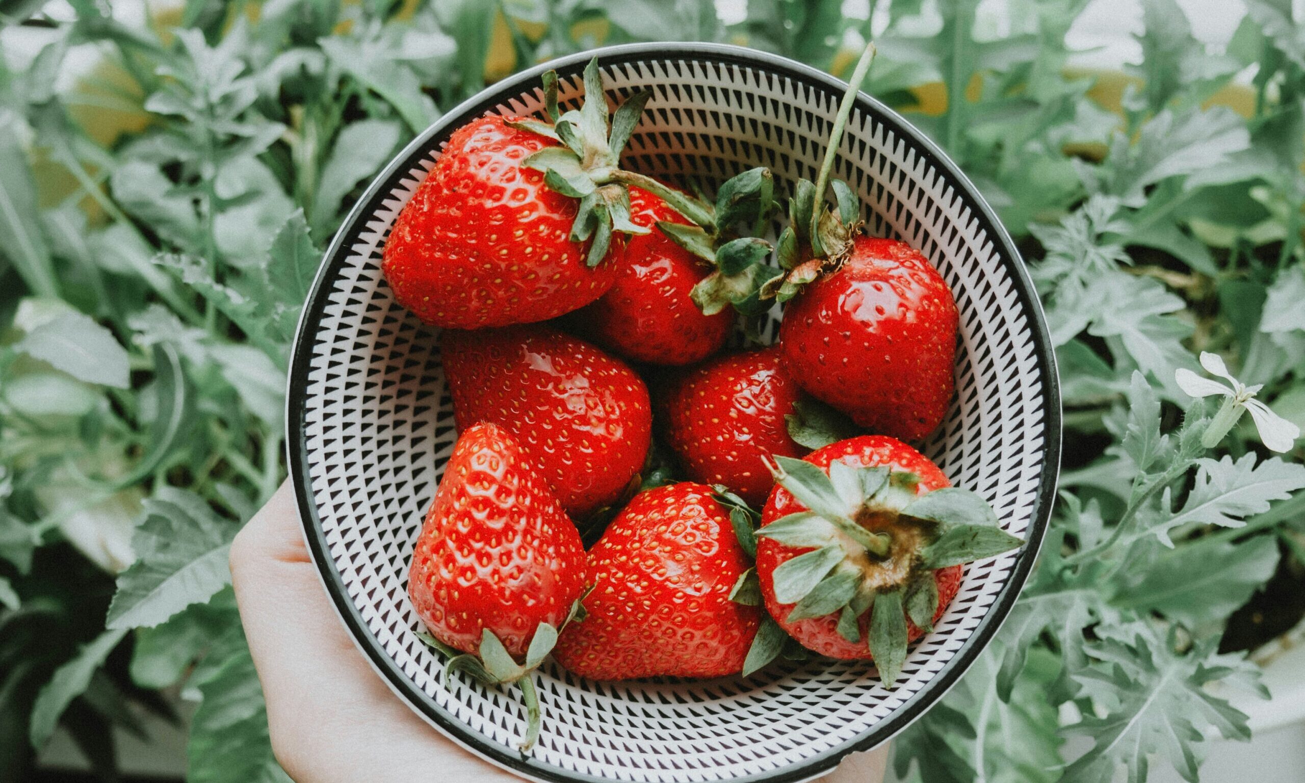 Superfoods που δεν πρέπει να λείπουν από τη διατροφή σου τις μέρες του καύσωνα