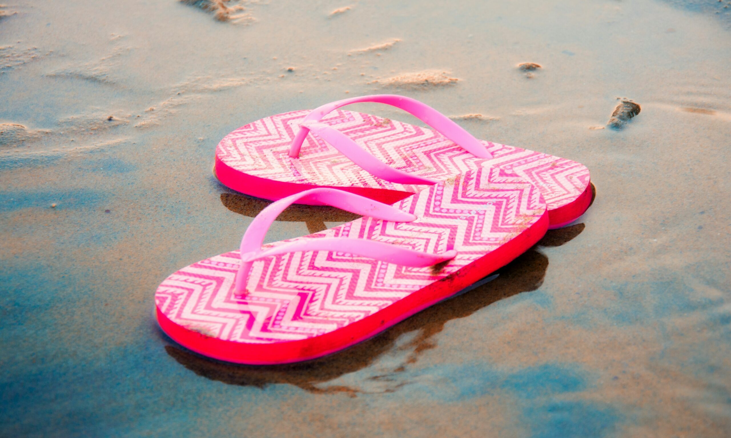 Γιατί δεν πρέπει ποτέ να «λιώνεις» με τη σαγιονάρα μια κατσαρίδα – Μπορεί να γεμίσει το σπίτι σου με αυγά