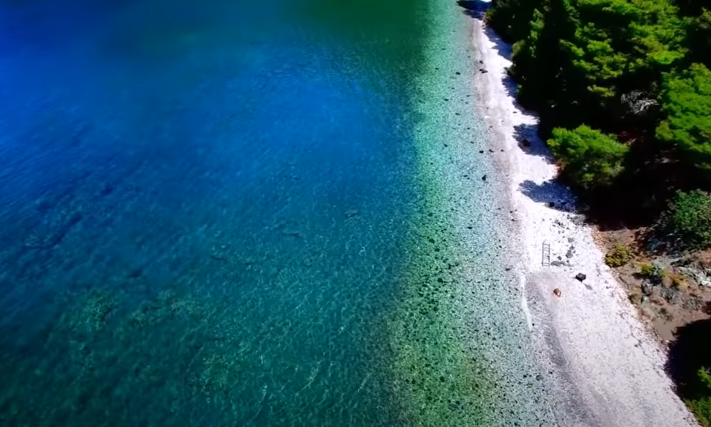 Η άγνωστη παραλία κοντά στην Αθήνα που κρύβεται πίσω από τα πεύκα