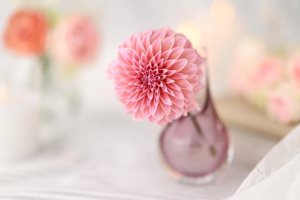 Η καινούργια εκδοχή ενός κλασικού φακού πορτραίτων: νέος επαγγελματικός φακός 85mm από την Canon