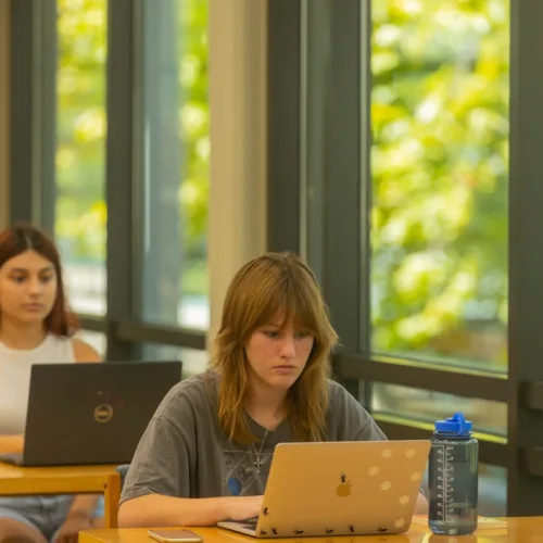 Deree Fall Intensive: Νέα ακαδημαϊκή περίοδος για άμεσο ξεκίνημα σπουδών