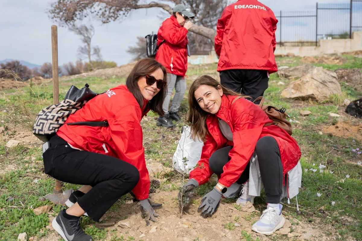 Δεύτερη εθελοντική αναδάσωση στην Πεντέλη από τους εργαζόμενους της Henkel Hellas