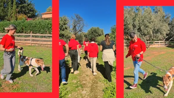 Η Purina δίπλα στα αδέσποτα της Dogs’ Voice για την Παγκόσμια Ημέρα Εθελοντισμού